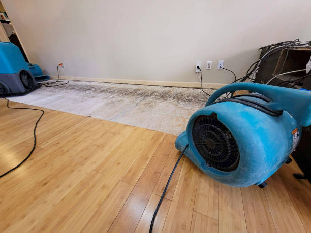 Professional Burst Pipe Water Damage technician working in Danvers, MA